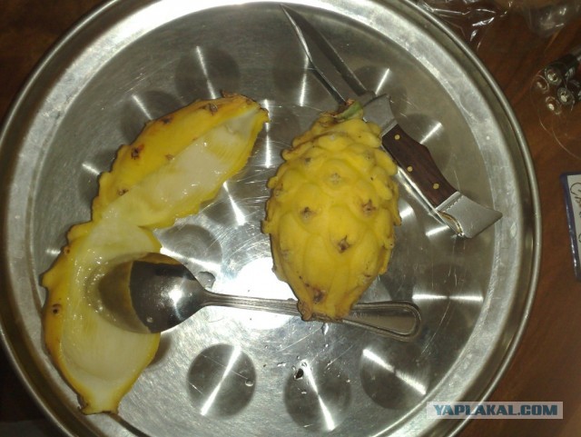 Не Сочи в противовес Египту, Турции и пр