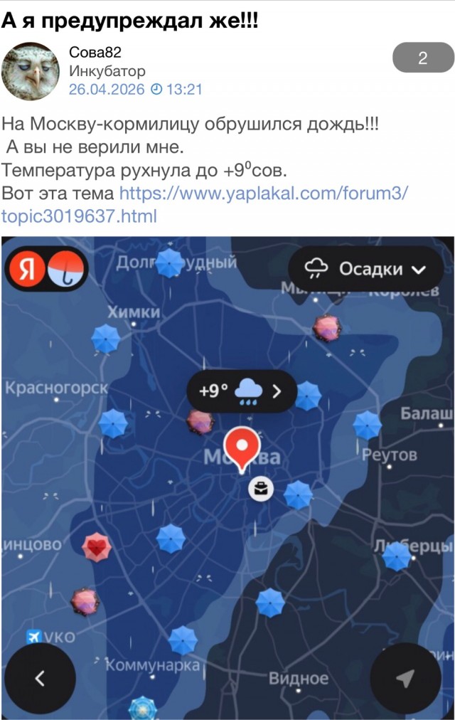 Открытое письмо Сове 82.