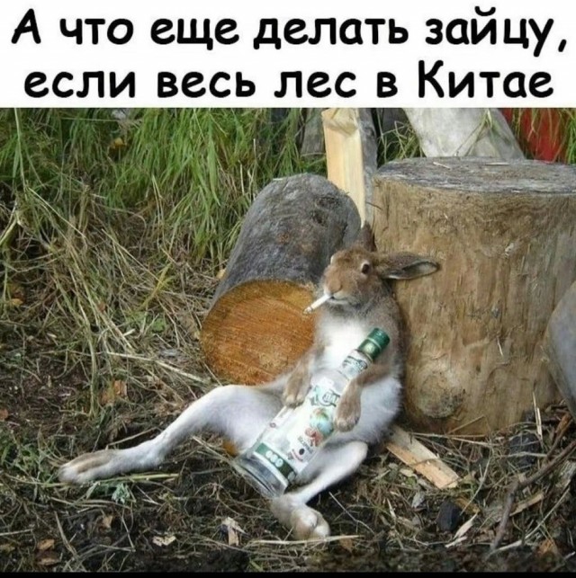 Так себе картинки 17.05.26