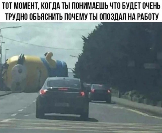 Веселые картинки в понедельник (08.06)