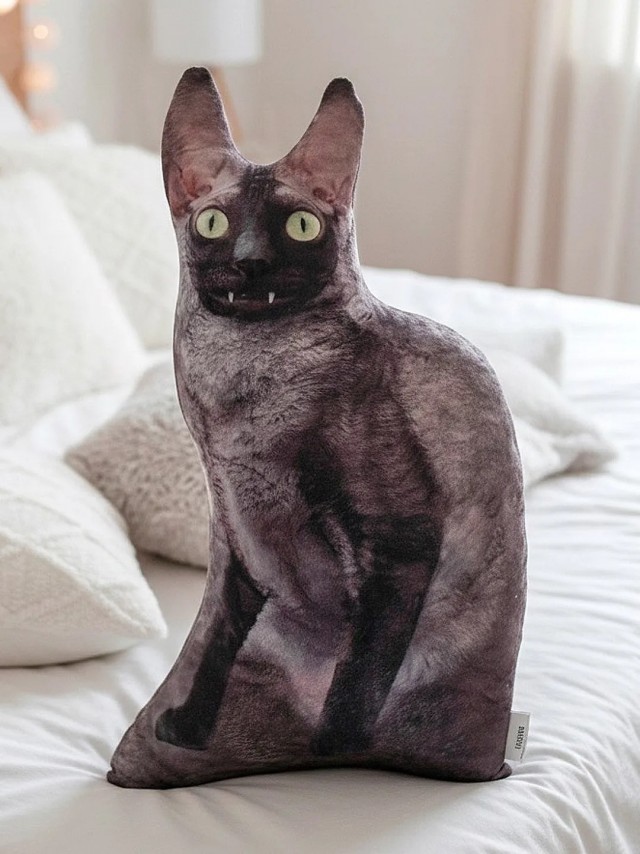 Котик для котика