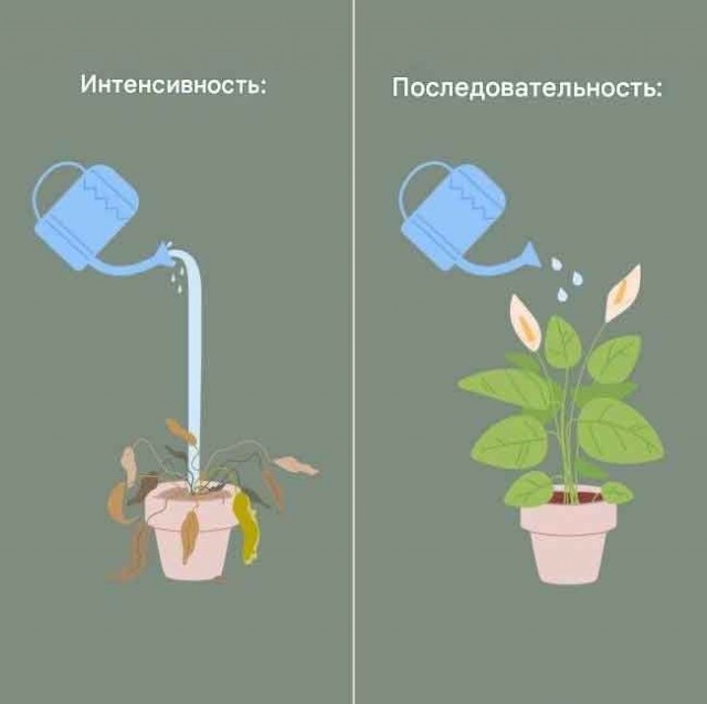 Помянем выходные