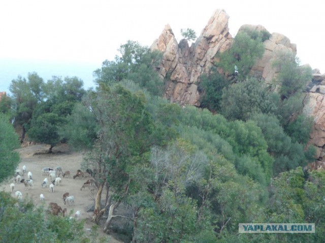 Деревенская Америка