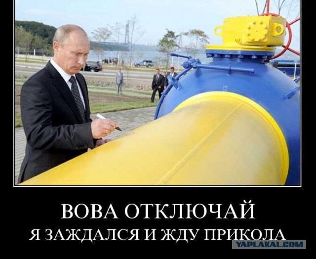 Картинки