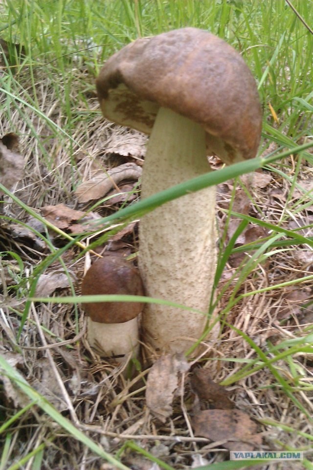 Просто выходные...