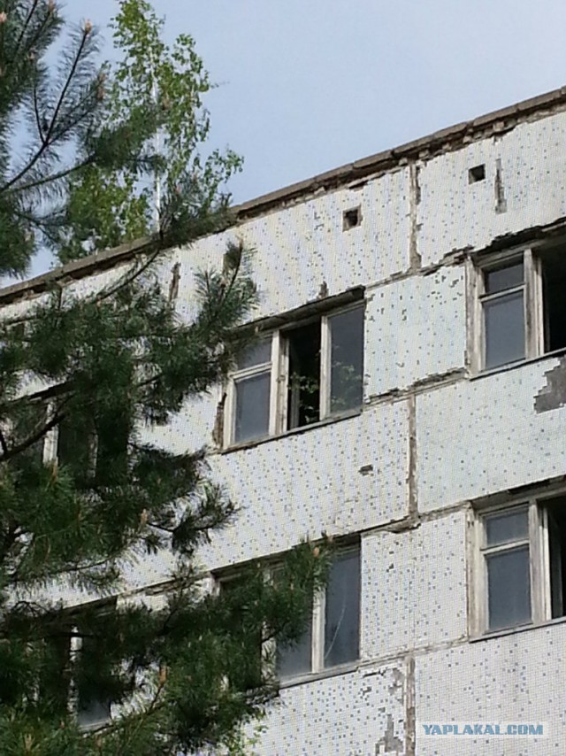 Поездка в Зону Отчуждения