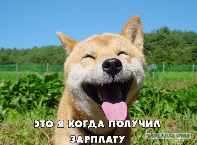 20 кадров, в которых мы невольно узнаём самих себя