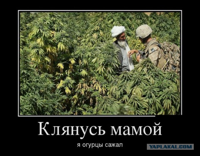 Астана - зеленый город