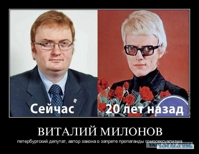 Милонов: будет нормальным вырубить Facebook