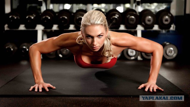 Европа пала без боя — События дня