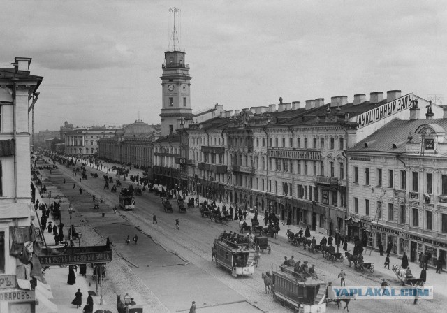 Проспекты Санкт-Петербурга