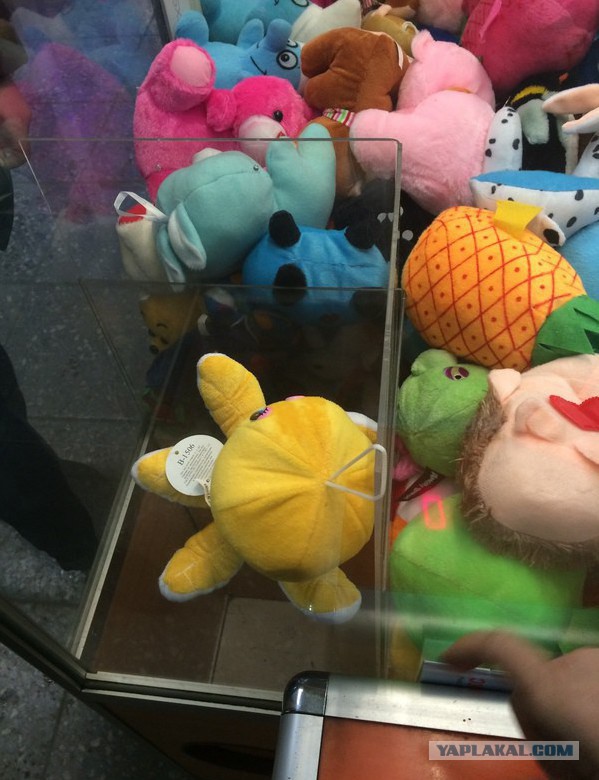 Везде обман!