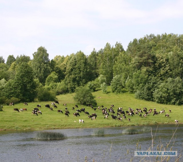 Я узнал, что у меня есть огромная семья