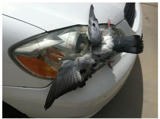 Неприятности случаются.