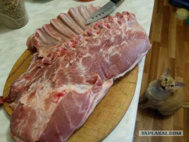 Баранина с картошкой(пирожок) и харчо
