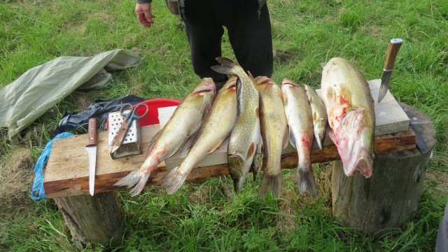 Рыбалка в Колыванском районе НСО