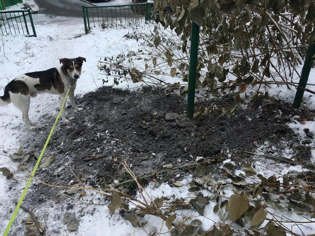 Тяжелая жизнь московского наркомана...