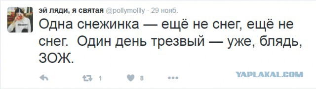 Смешные комментарии из социальных сетей 16.12.2016
