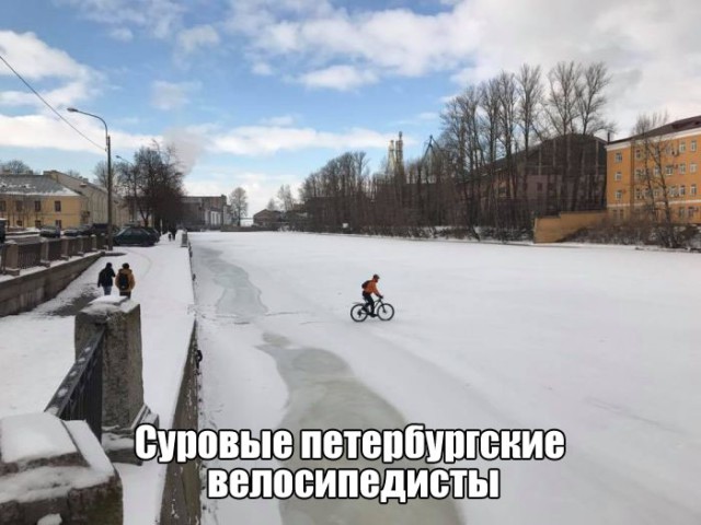 Подборка безудержного веселья