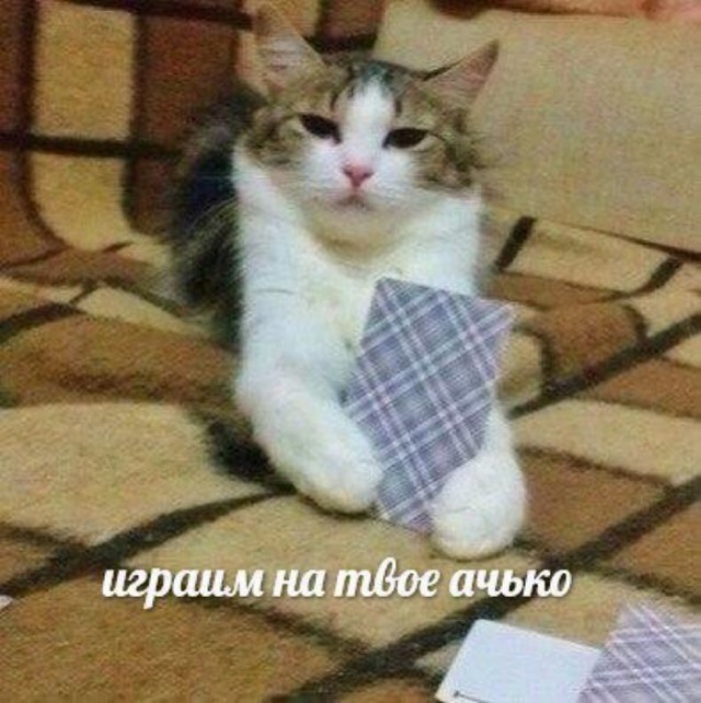 Приколы в стиле "регресс"