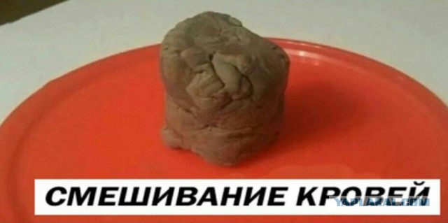Пятничный абсурд и деградация приветствует вас!