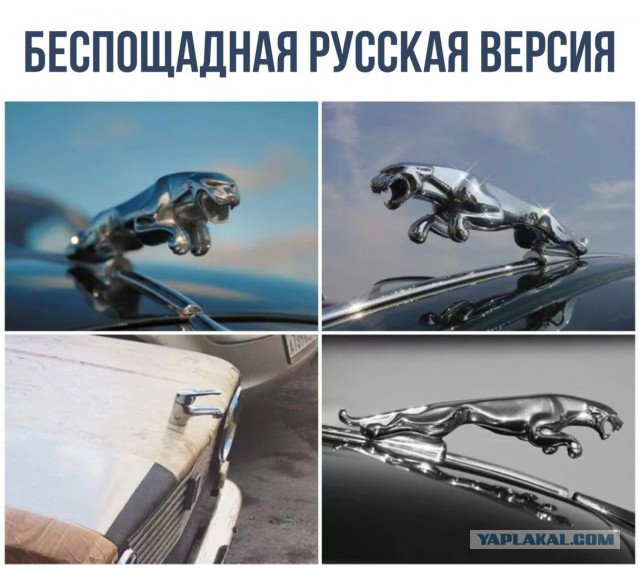 Всякое, из этих ваших интернетов