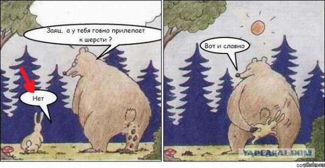 Нестандартный юмор
