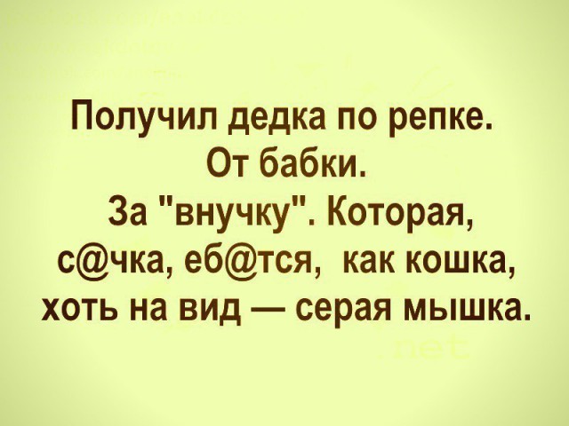 Неутомимый. В парадной засняли похотливого петербуржца, удовлетворившего себя на каждом из 12 этажей