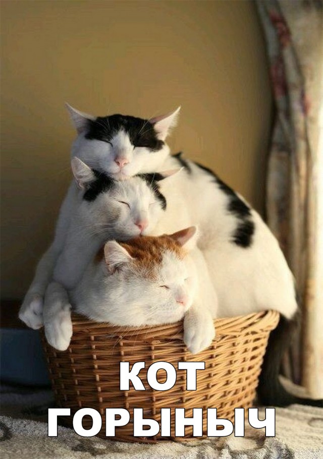 Немного милоты