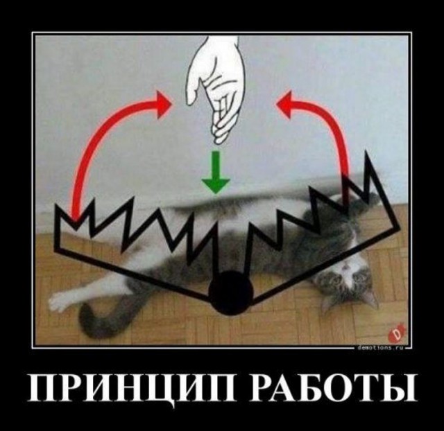 Картинки в черных рамках с подписями