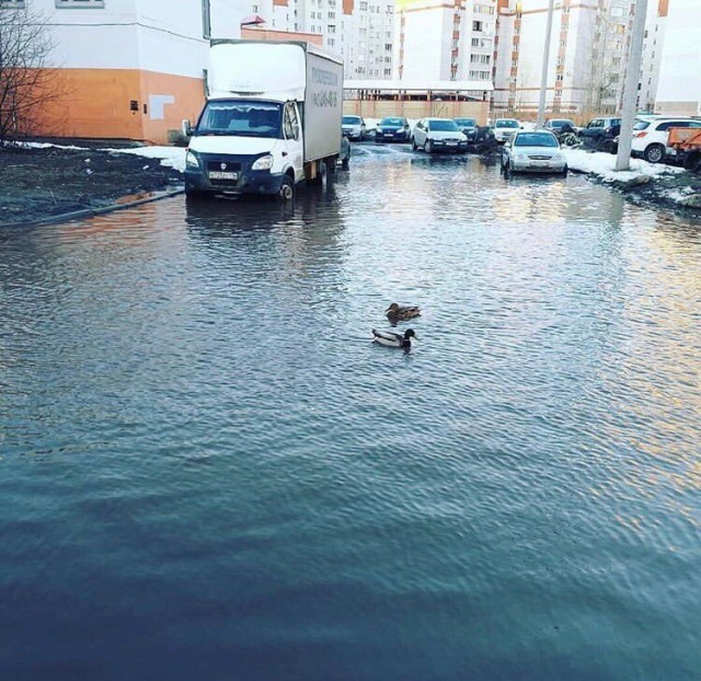 Удивительные снимки с российских просторов 07.04.19