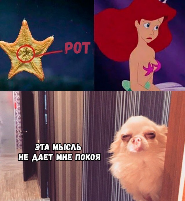 Немного картинок для настроения