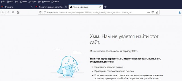 Помогите вернуть кота! Приют "Преданное сердце" украл кота и не отдает!-2