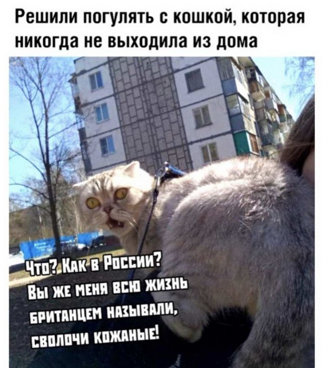 Картинки из рабочего чата 23.04