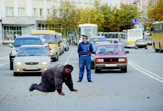 Лучший друг человека.... или наоборот!?