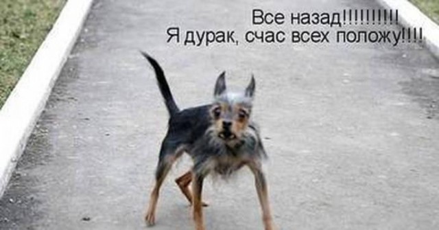 Немного картинок для настроения 17.11.20