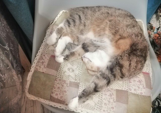 Моя красотка