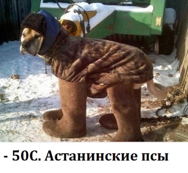 Пожар на автомойке в Астане