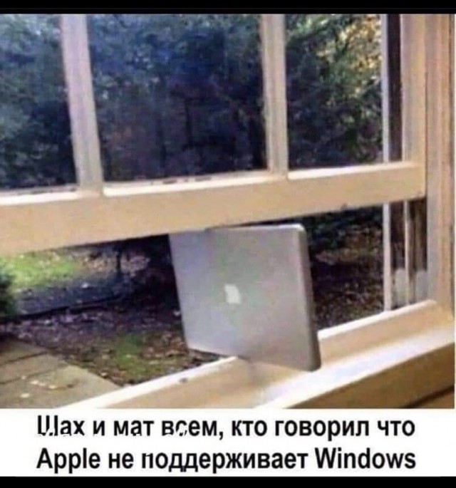 Так себе картинки 04.06.21