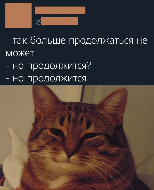Баяны бабыЯны