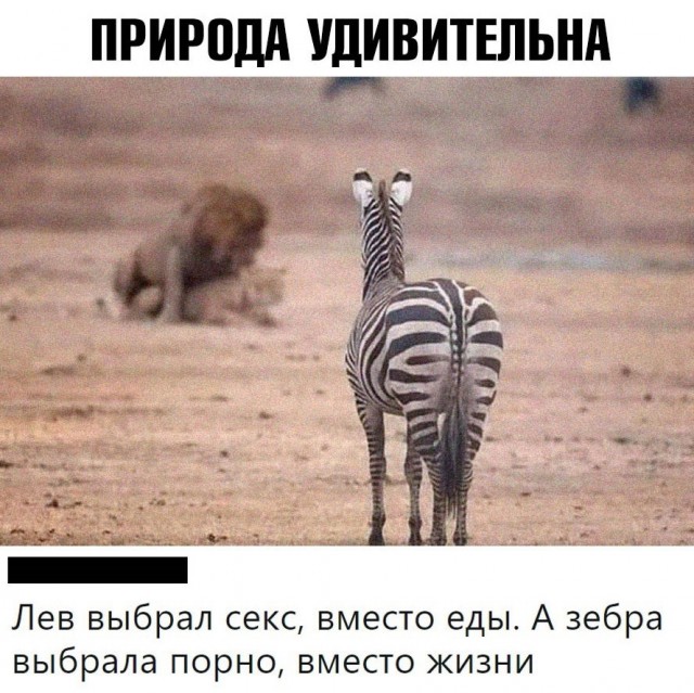 Так себе картинки 12.12.21