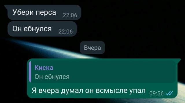 Котэ тестирует липучку на льду