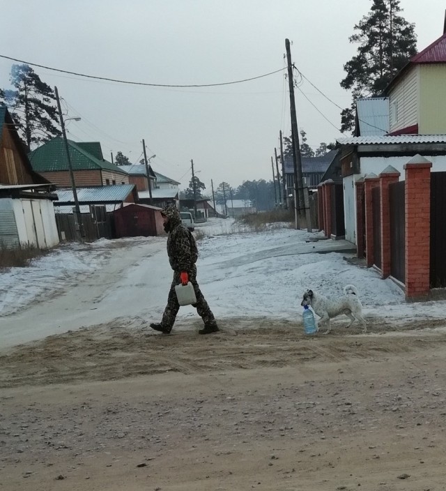 Настроение в фото - Зима 2022