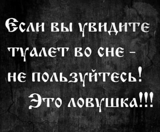 Британские ученые выяснили, что грибы способны общаться, и в их словарном запасе есть около 50 слов
