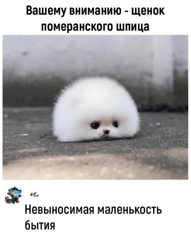 Так себе картинки 21.05.22
