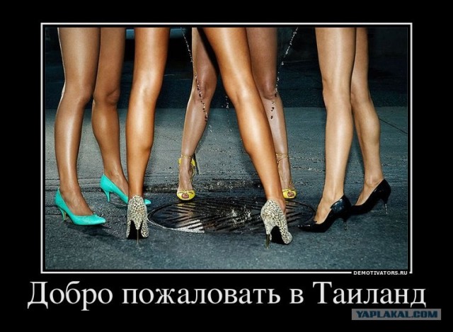 МайТай