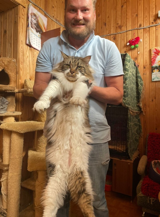 Начну котовторник чуть раньше!