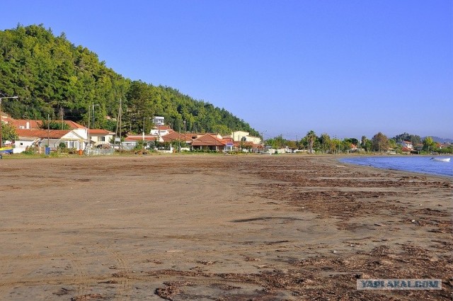 Любовь с первого взгляда