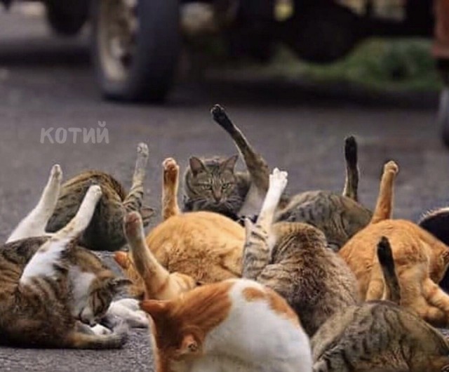 Хобби