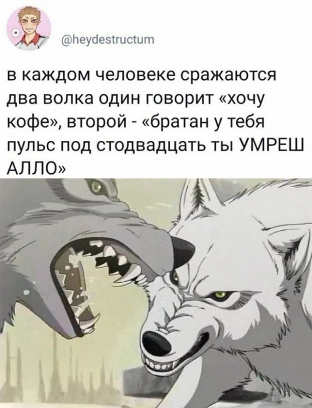 Картинки и мемы для настроения - 17